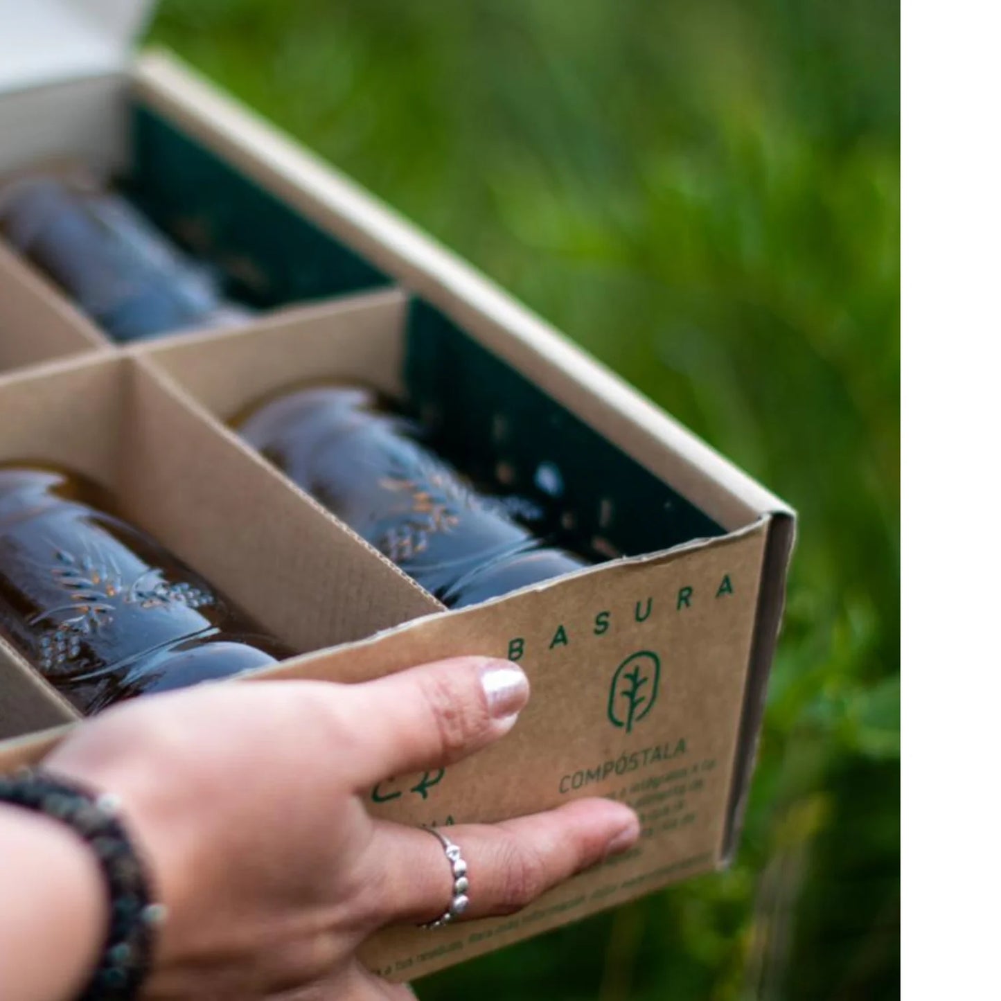 6 Vasos de Botella Torobayo