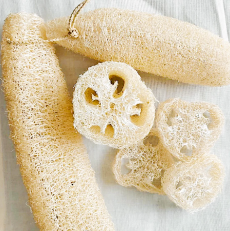 Luffa Vegetal Mediana