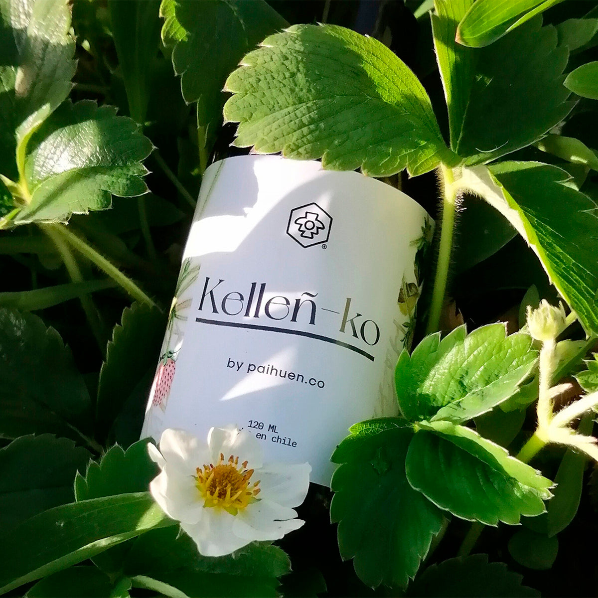 Tónico Kelleñ-ko