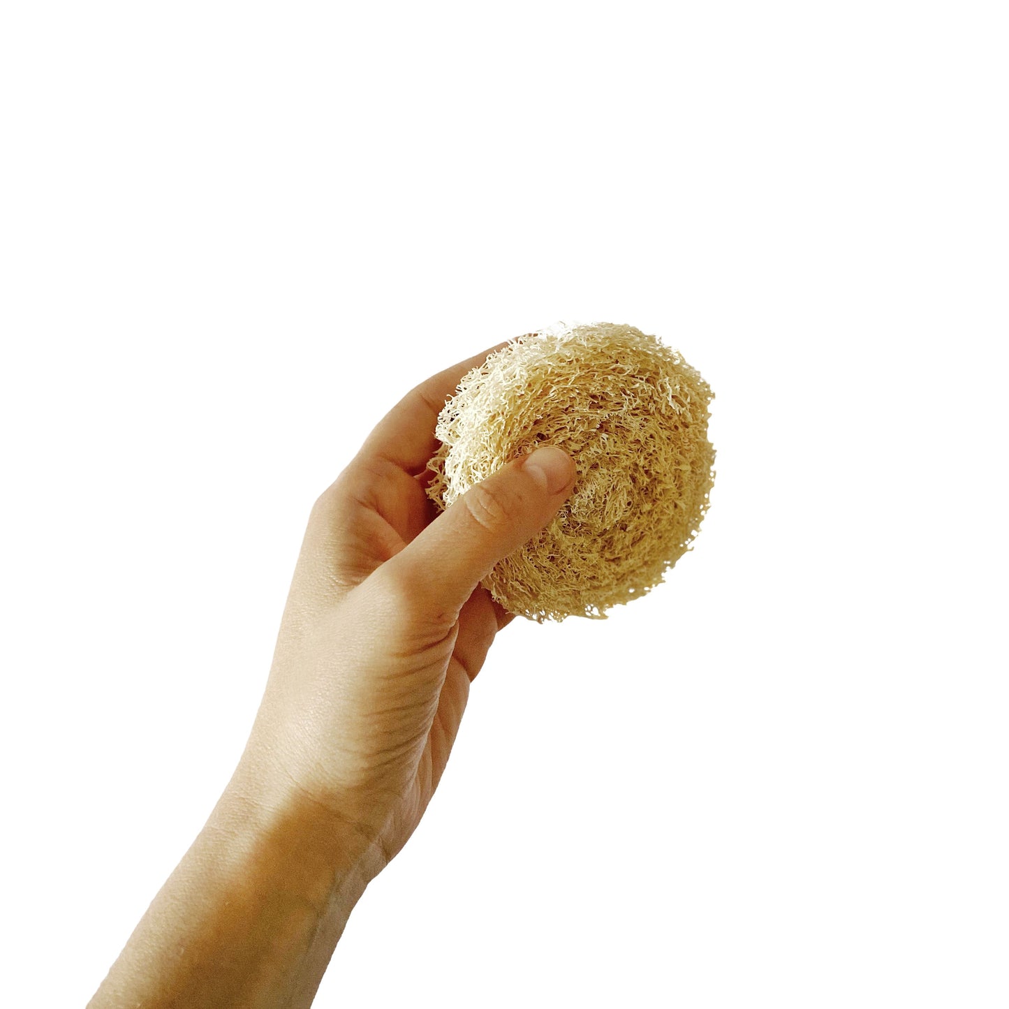 Virutilla de Luffa