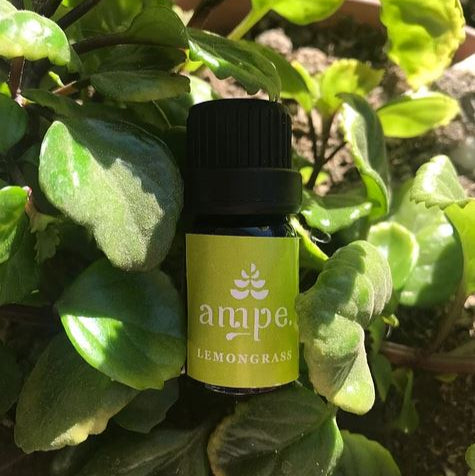 Aceite Esencial