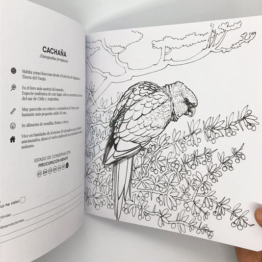 Libro para Colorear con Lápices