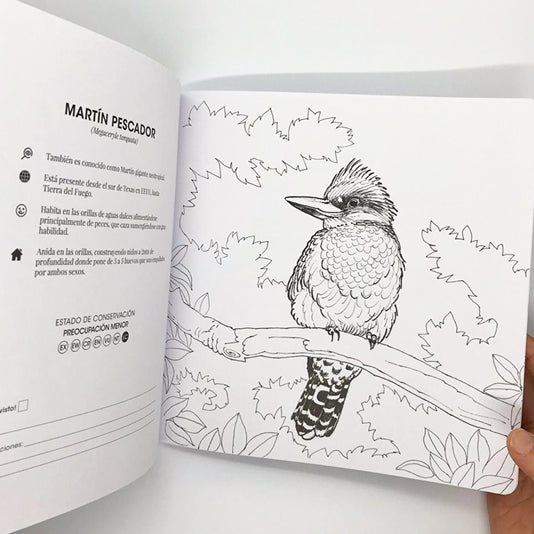 Libro para Colorear con Lápices