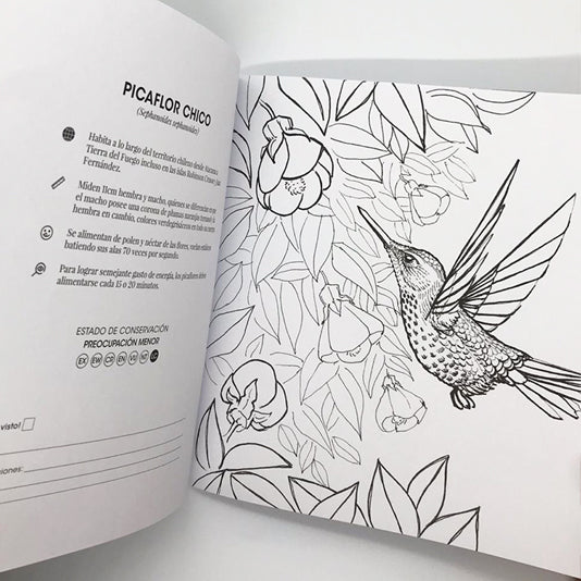 Libro para Colorear con Lápices