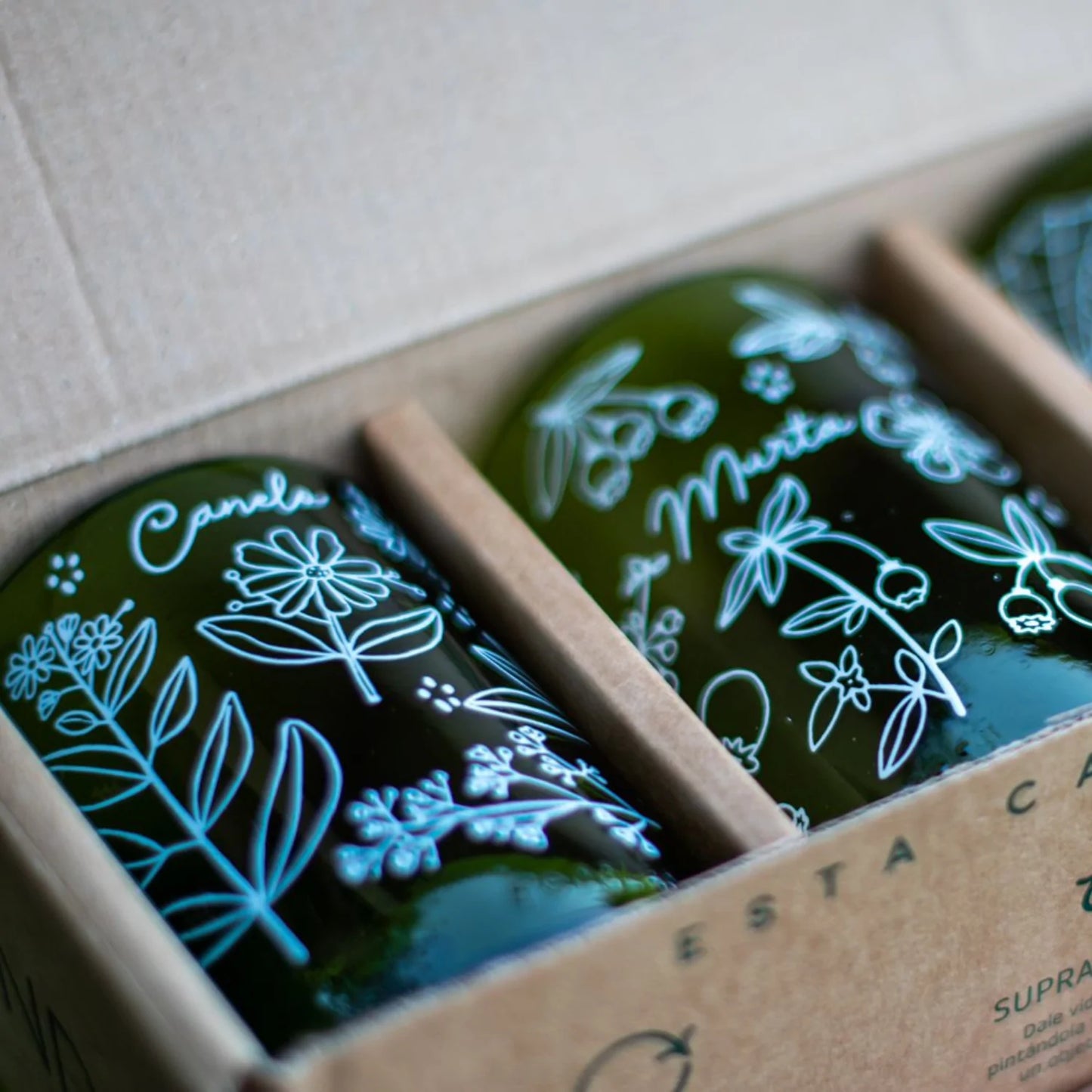 4 Vasos de Botella Flora Nativa