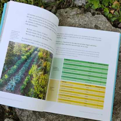 Un Bosque de Alimentos