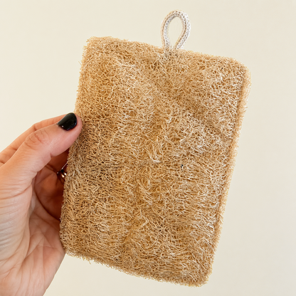 Esponja de Luffa