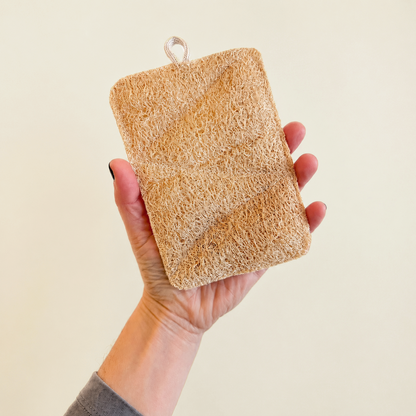 Esponja de Luffa