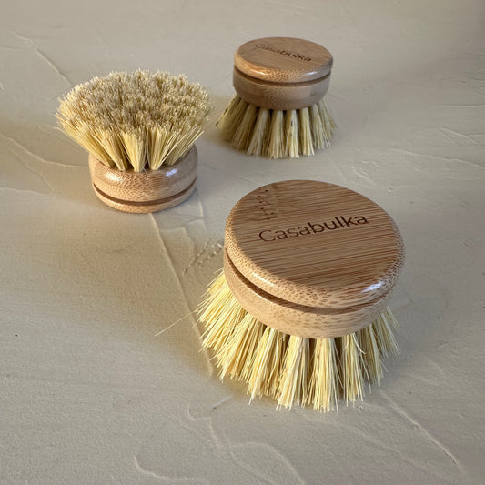 Repuesto Cepillo Cabezal Intercambiable