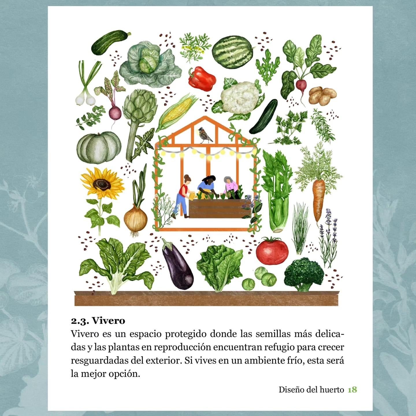 Cultivarnos: Enseñanzas de un Huerto