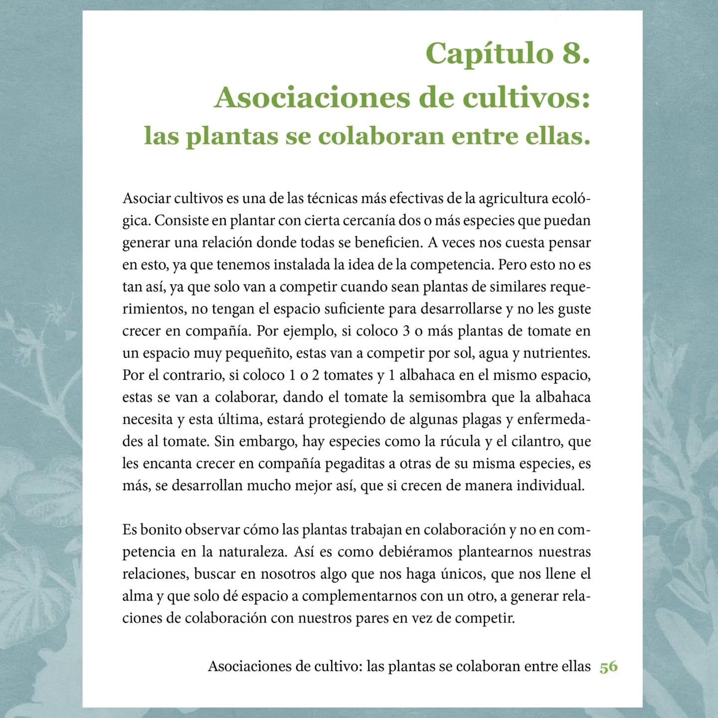 Cultivarnos: Enseñanzas de un Huerto