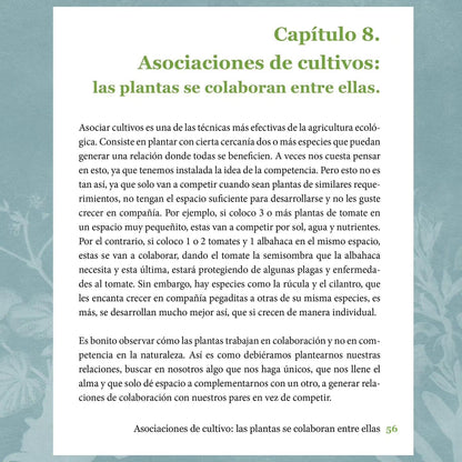 Cultivarnos: Enseñanzas de un Huerto