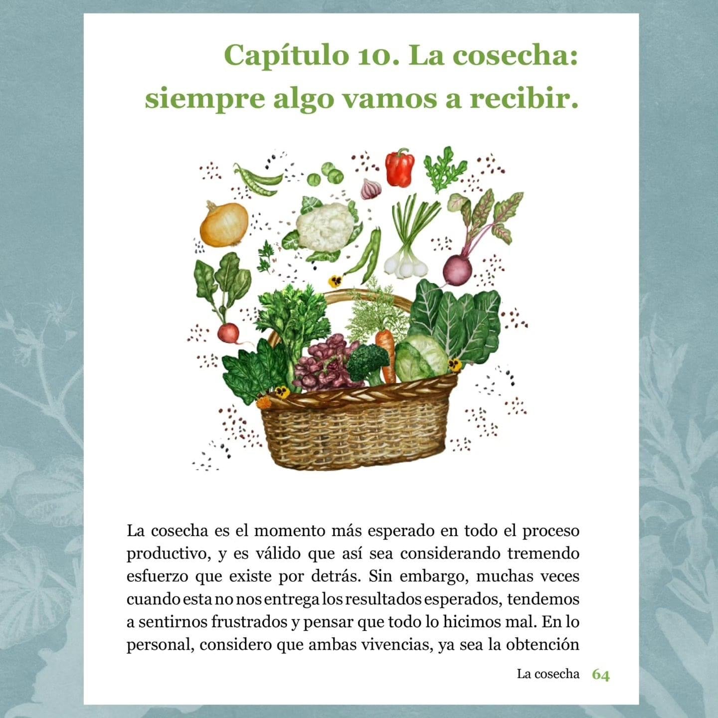 Cultivarnos: Enseñanzas de un Huerto