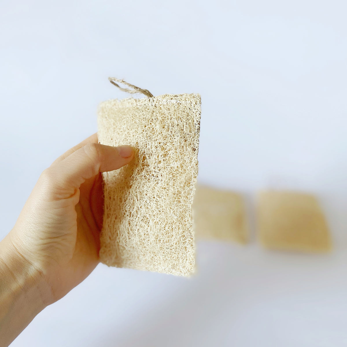 Esponja De Luffa