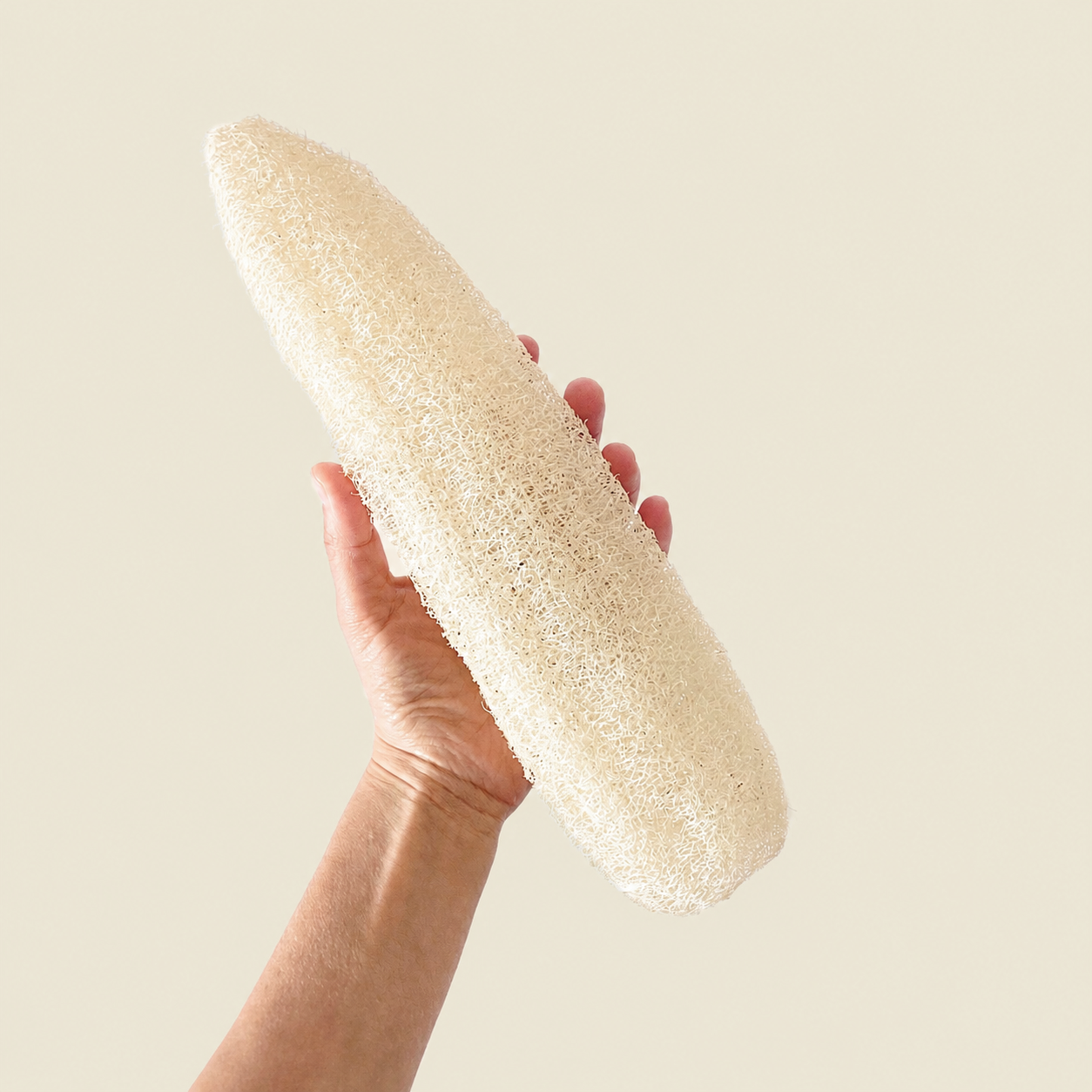 Luffa Vegetal Mediana