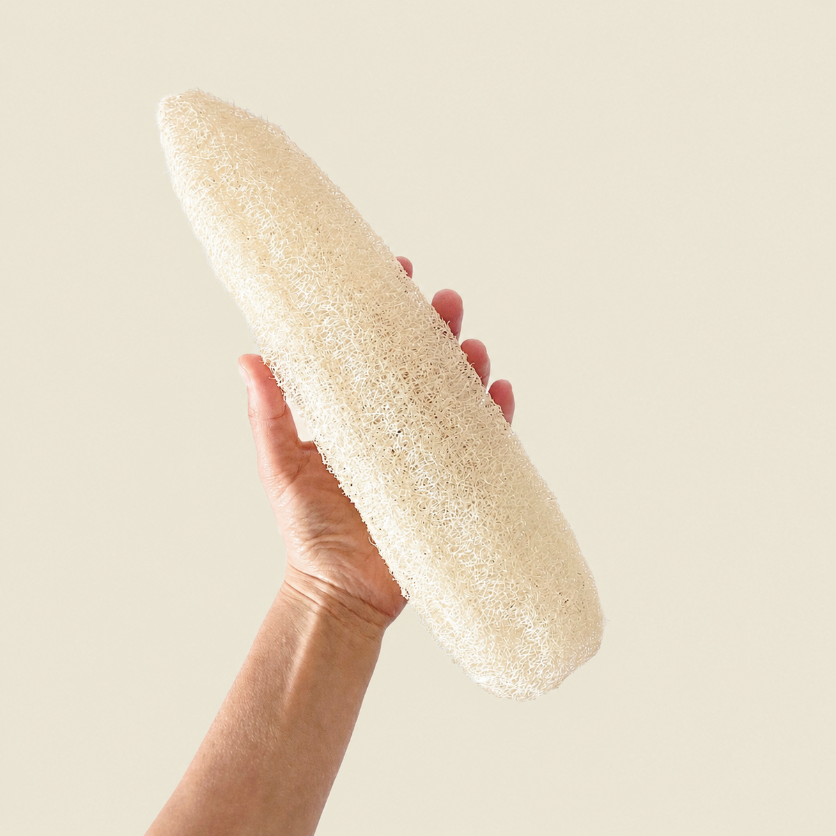 Luffa Vegetal Mediana