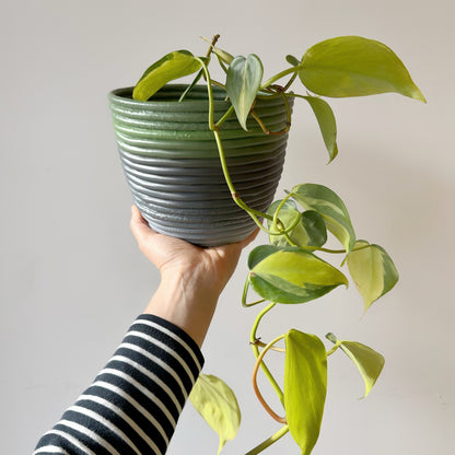 Maceta Mediana de Plástico Reciclado