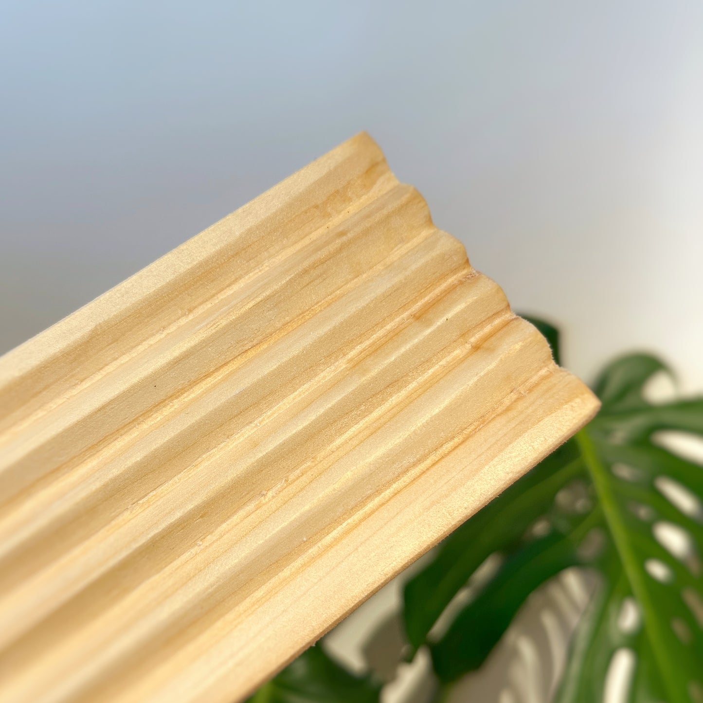 Jabonera de Madera Pino Doble