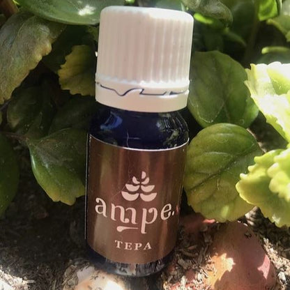 Aceite Esencial
