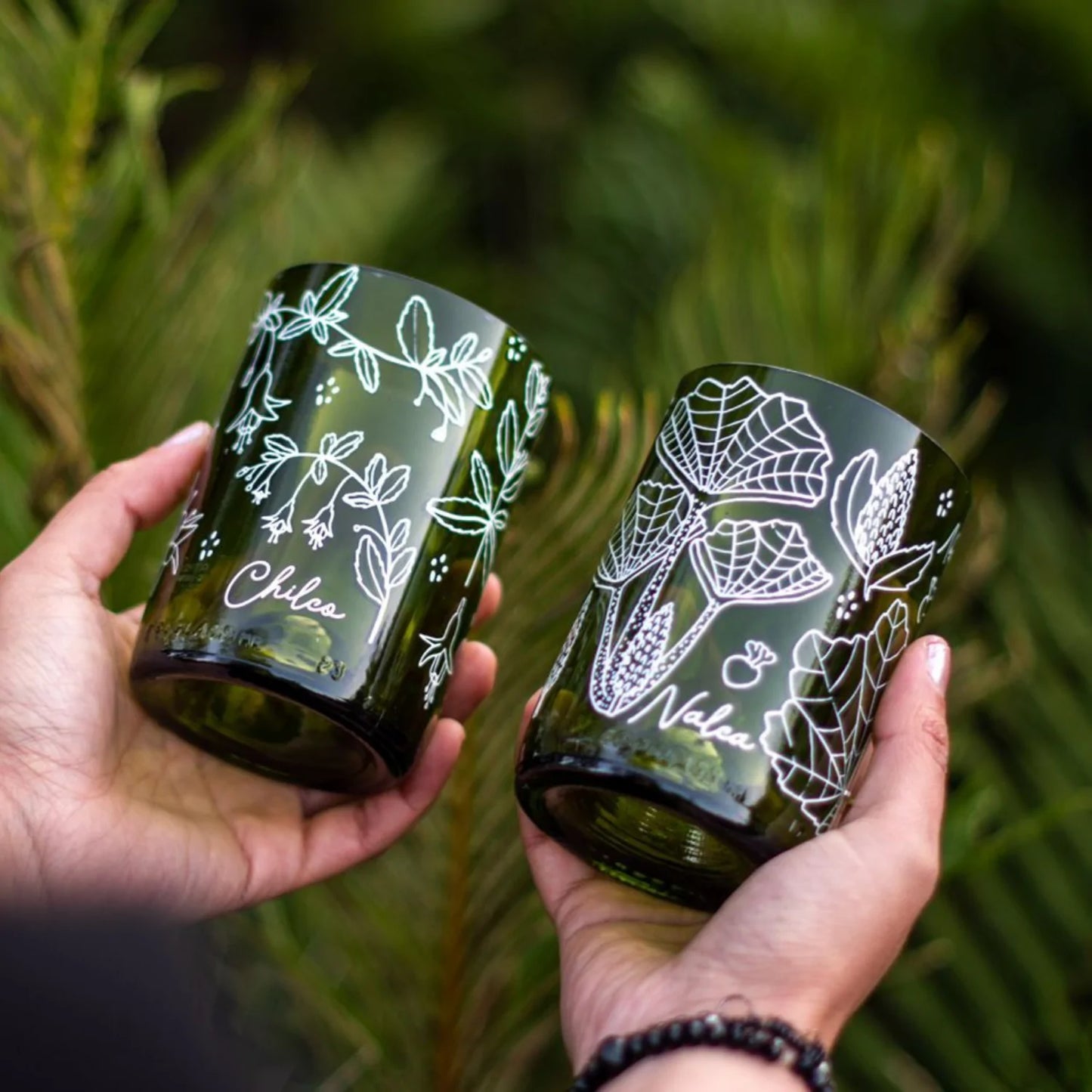 Vasos Flora Nativa (4 Unidades)