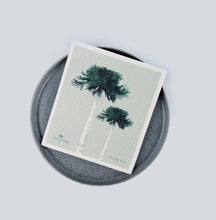 Cargar imagen en el visor de la galería, Paños Absorbentes Compostables Diseño Fernanda Larraín (3 Unidades)
