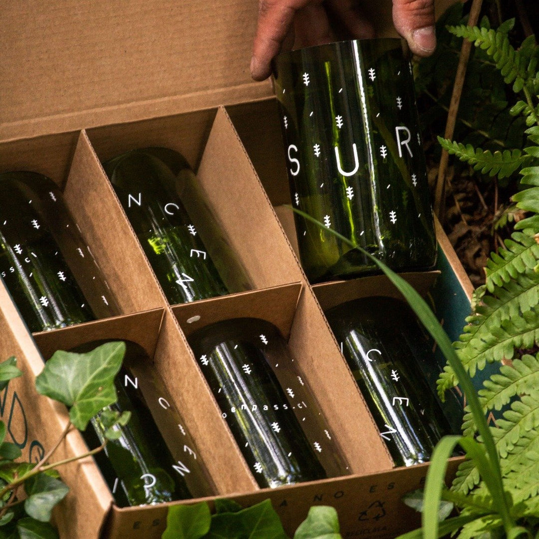 6 Vasos de Botellas Verdes